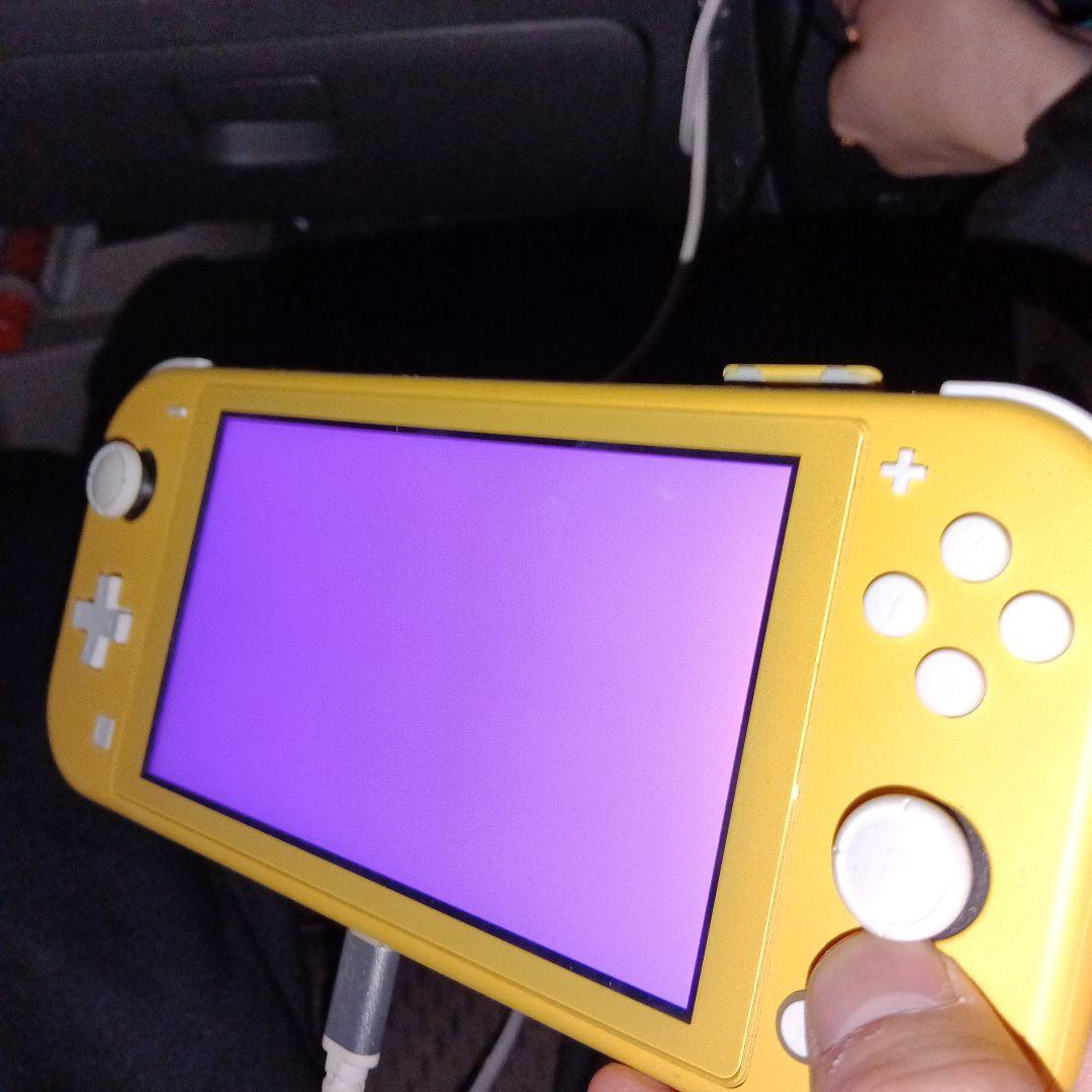 スイッチライトジャンク品値下げ不可