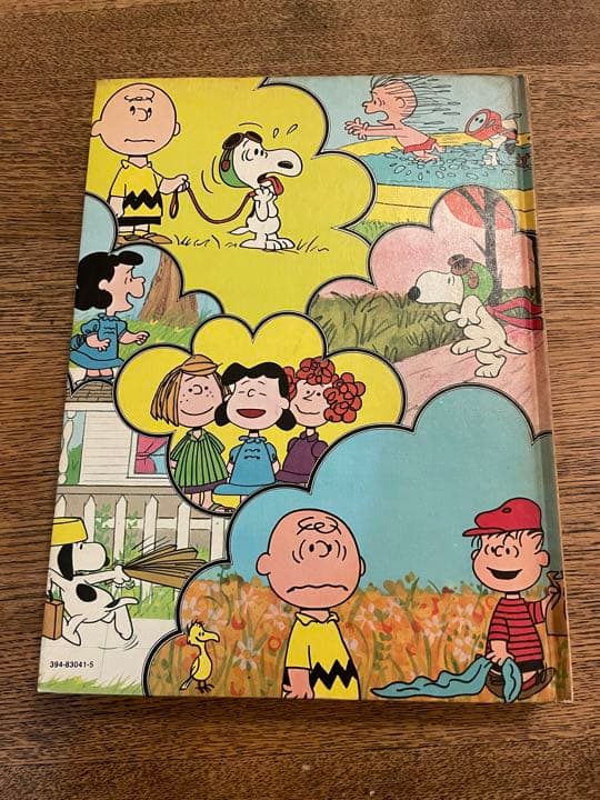 チャーリーブラウンディクショナリー　CharlieBrownDictionary