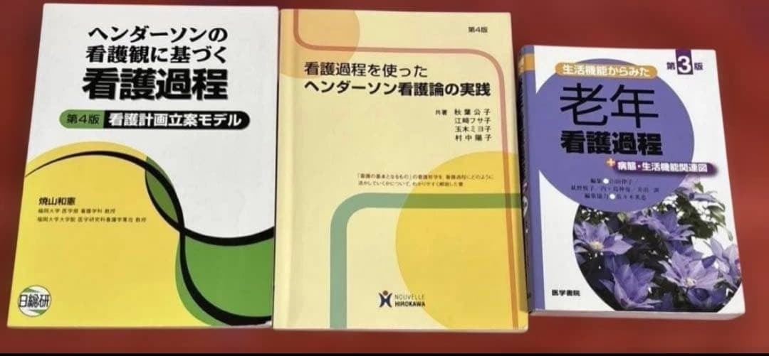 看護 実習セット 国試 アセスメント、関連図、プチナース 情報収集 他