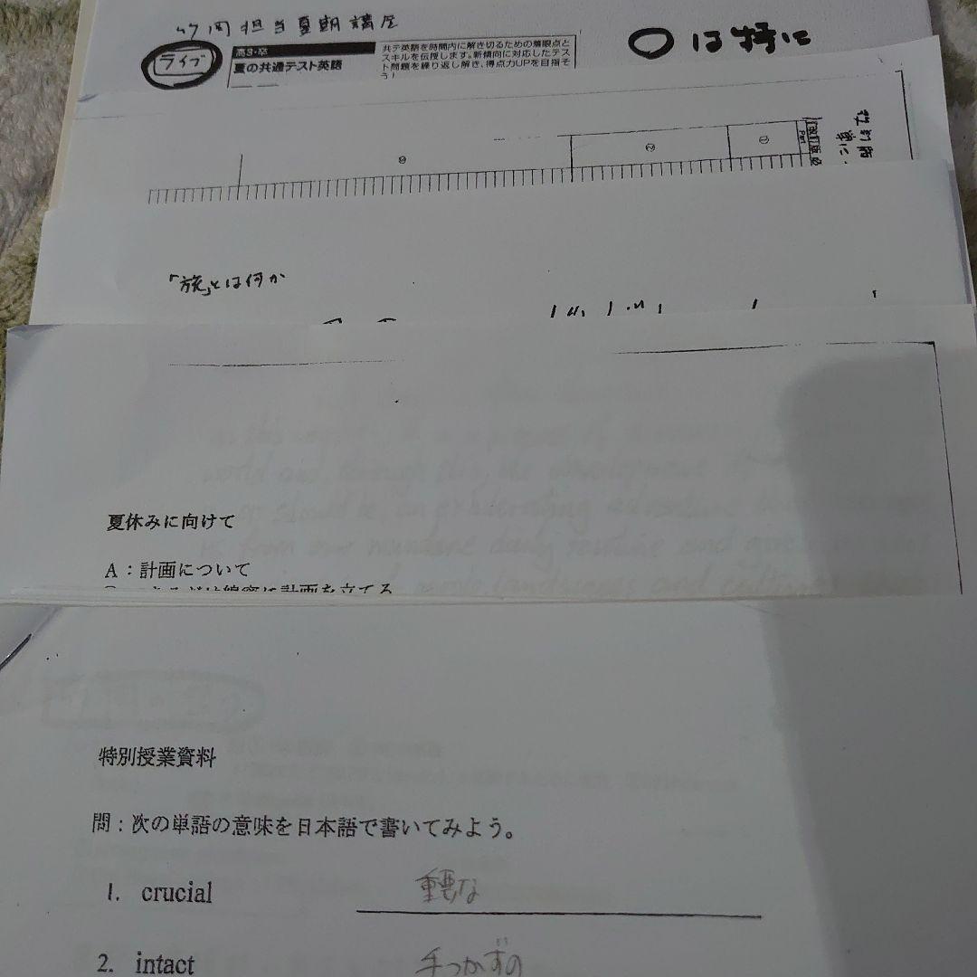 駿台 竹岡先生 プリント