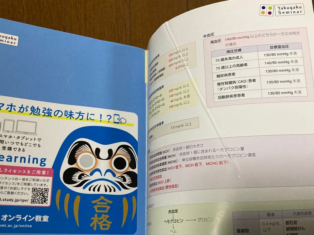 第109回 薬剤師国家試験対策参考書 青本 青問 1~9 セット　.
