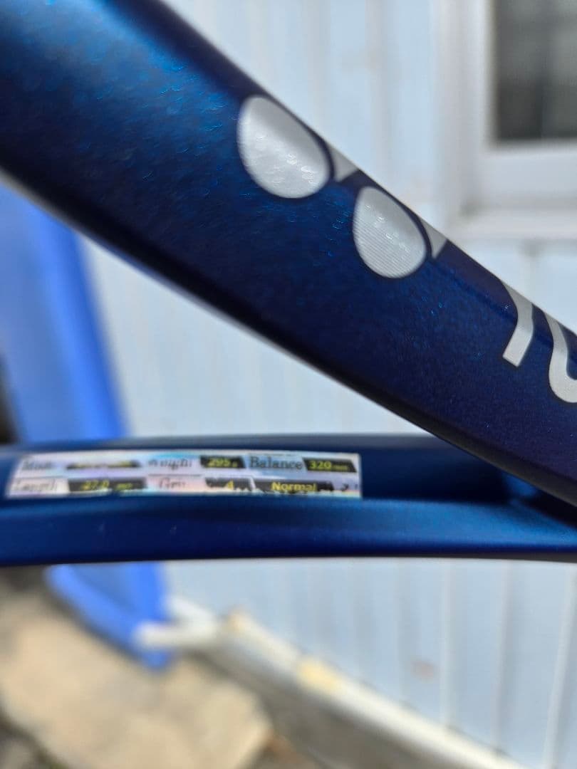 ラケット(硬式用) Ezone100 Grip4 295g 320mm custom fit