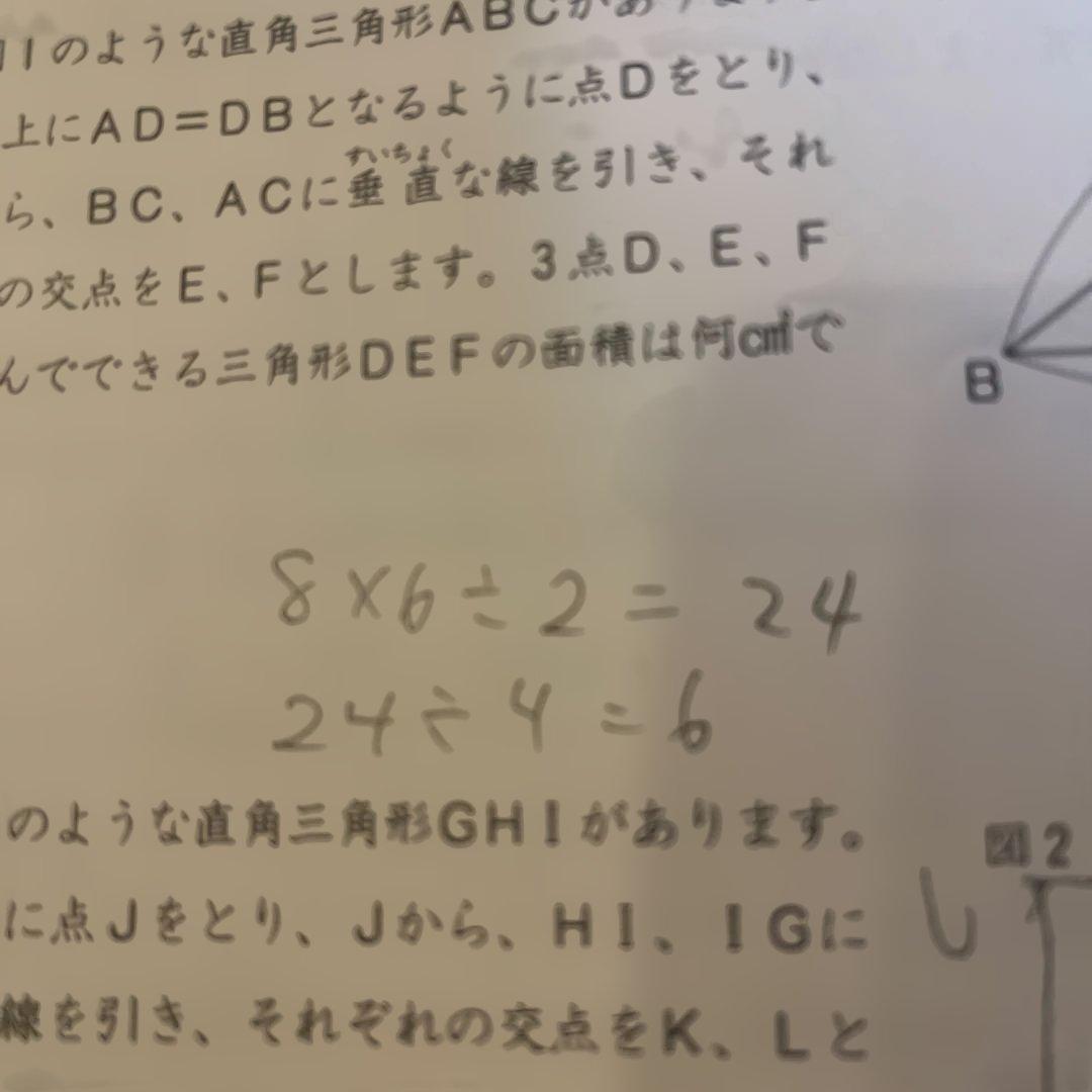 全国公開模試 6年 2科目 テスト　全11回分　袋付き