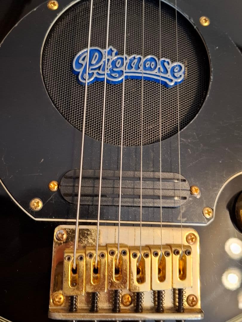 Pignose Guitar 純正ケース付き ピグノーズブロックインレイ ギター