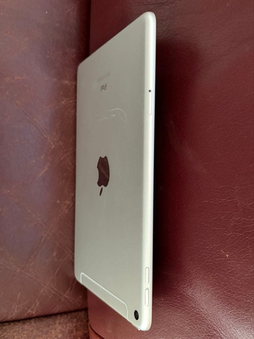 【セール】iPad mini 5 256GB SIMフリー　非純正ペン&カバー付