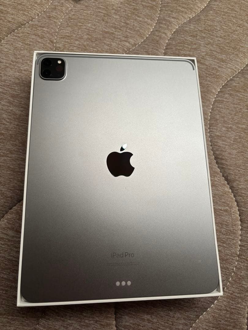 iPad Pro 11インチ　第4世代　Wi-Fiモデル　256GB