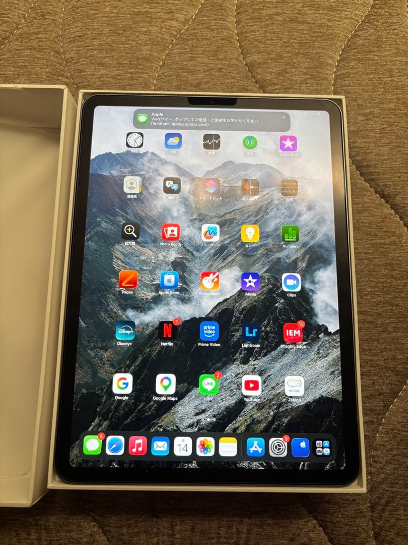 iPad Pro 11インチ　第4世代　Wi-Fiモデル　256GB