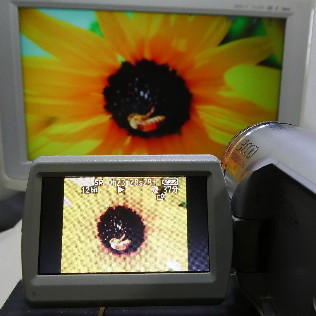 パナソニック NV-GS300【動作良好】MiniDVビデオ　ダビングに最適