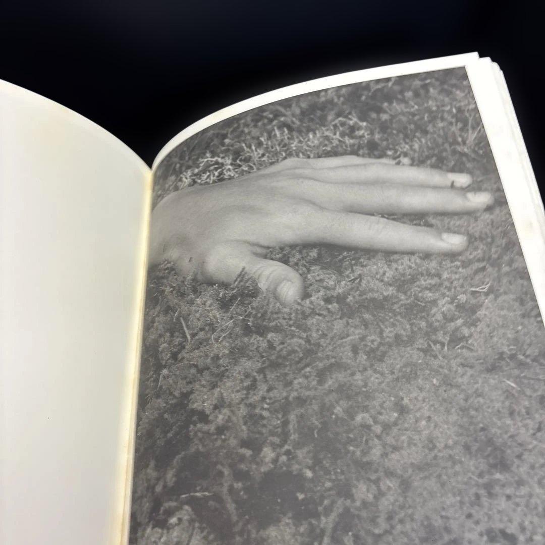 アート・デザイン・音楽 BEAR POND Bruce Weber