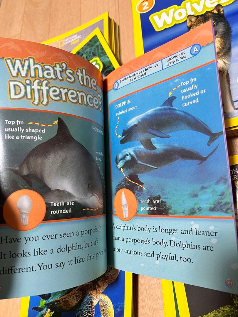 National Geographic Kids Level 2の41冊洋書多読