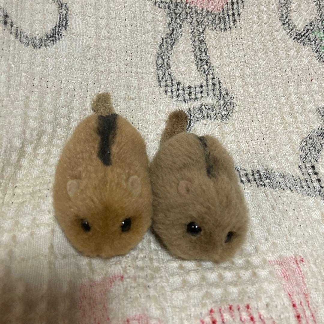 やまね工房　やまね　ぬいぐるみ　2コセット　中古品