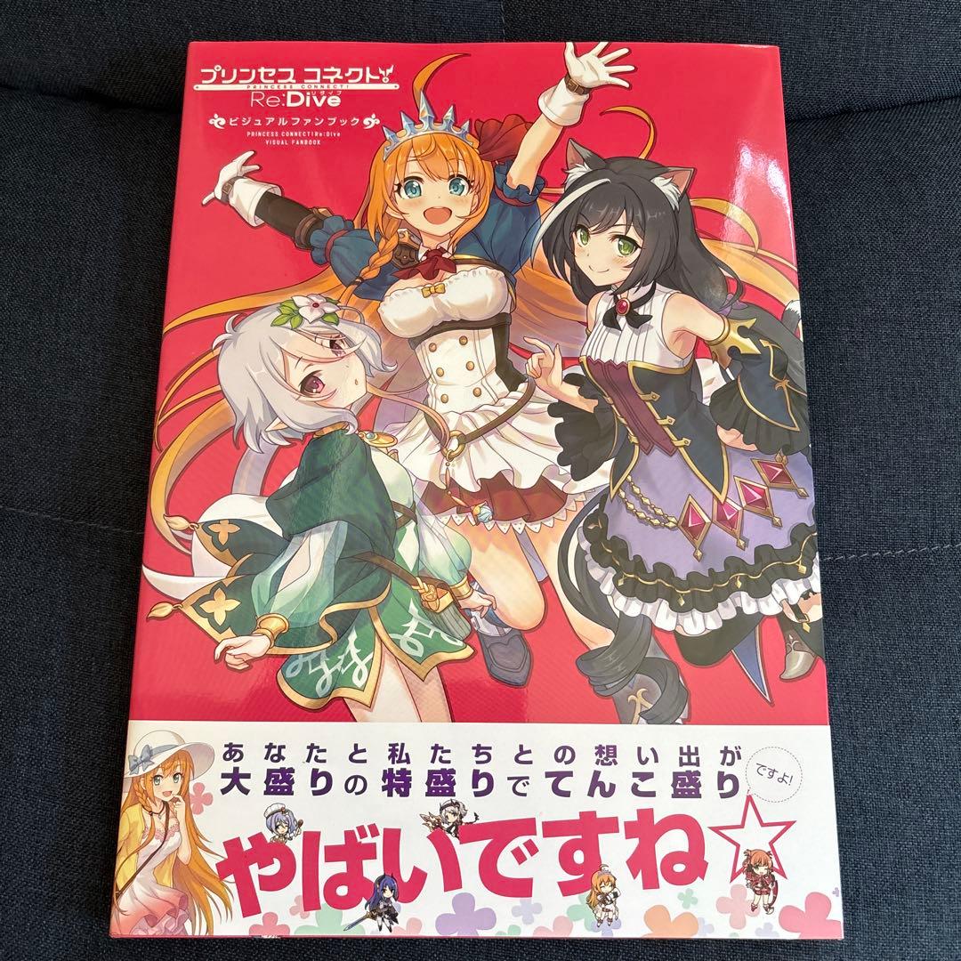 プリンセスコネクト　設定資料集セット