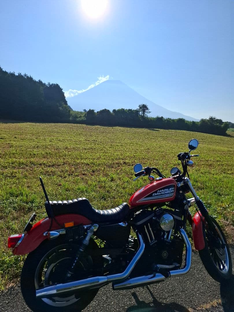 Tramp バイク用シート 黒 ストライプデザイン　ゲル入り