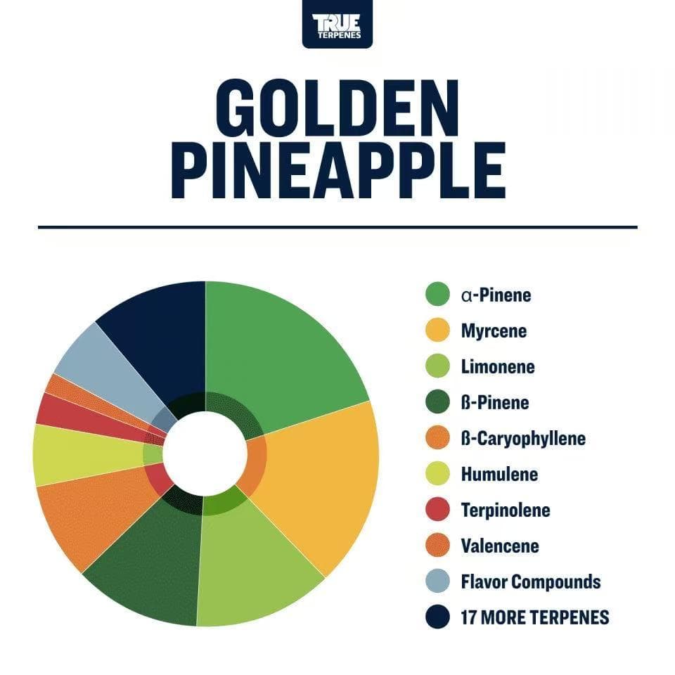 TRUE テルペン 香料 CBD CBN CBG 10ml ゴールデンパイン