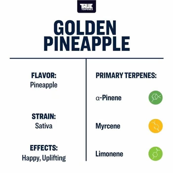 TRUE テルペン 香料 CBD CBN CBG 10ml ゴールデンパイン