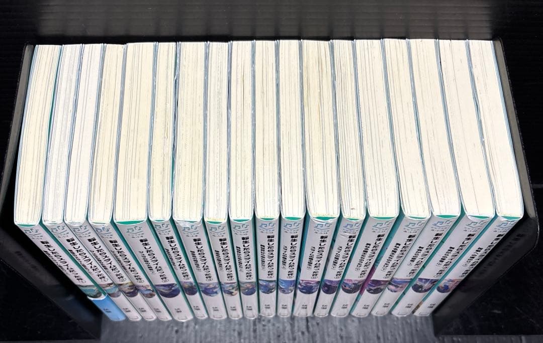 転生したらスライムだった件 小説 19冊