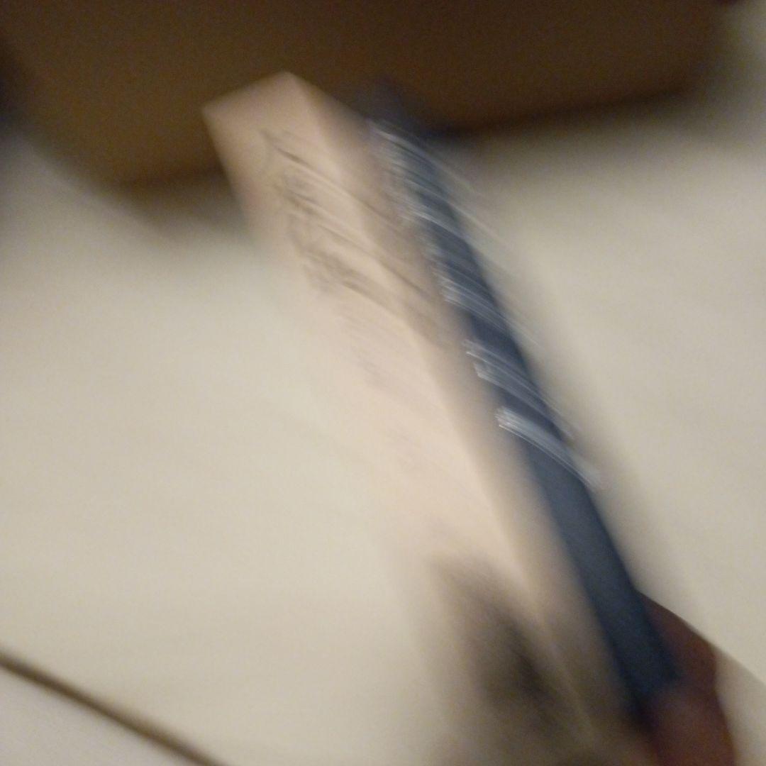 大乗仏典　日蓮