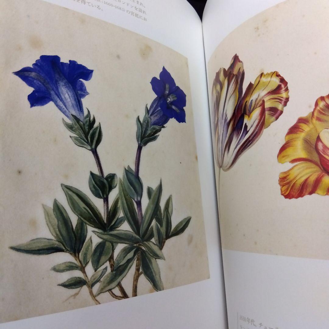 草木植物図譜集　5冊セット