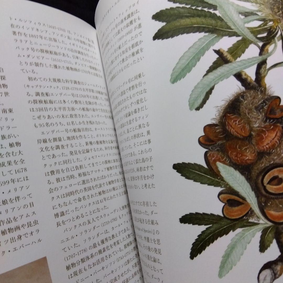 草木植物図譜集　5冊セット
