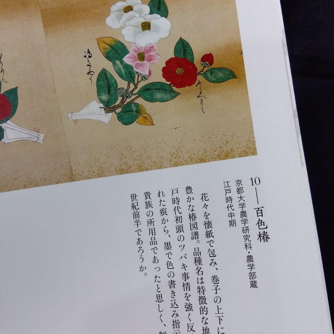 草木植物図譜集　5冊セット