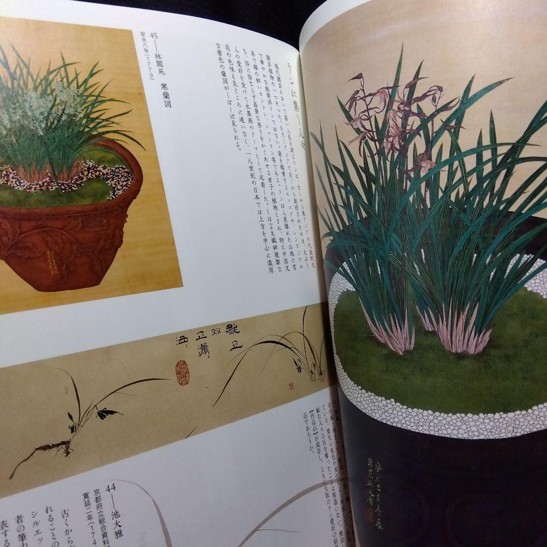 草木植物図譜集　5冊セット