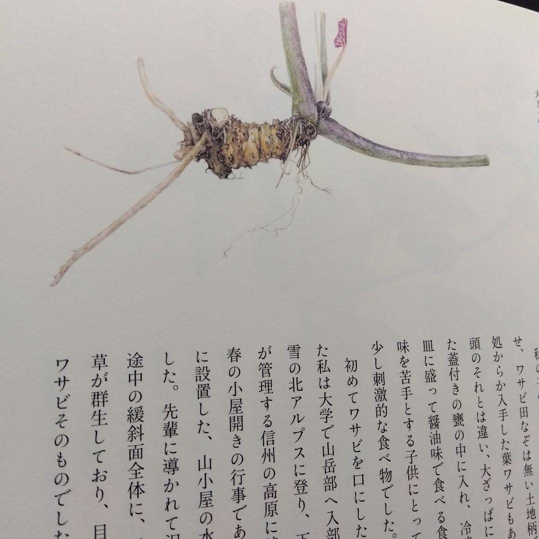 草木植物図譜集　5冊セット