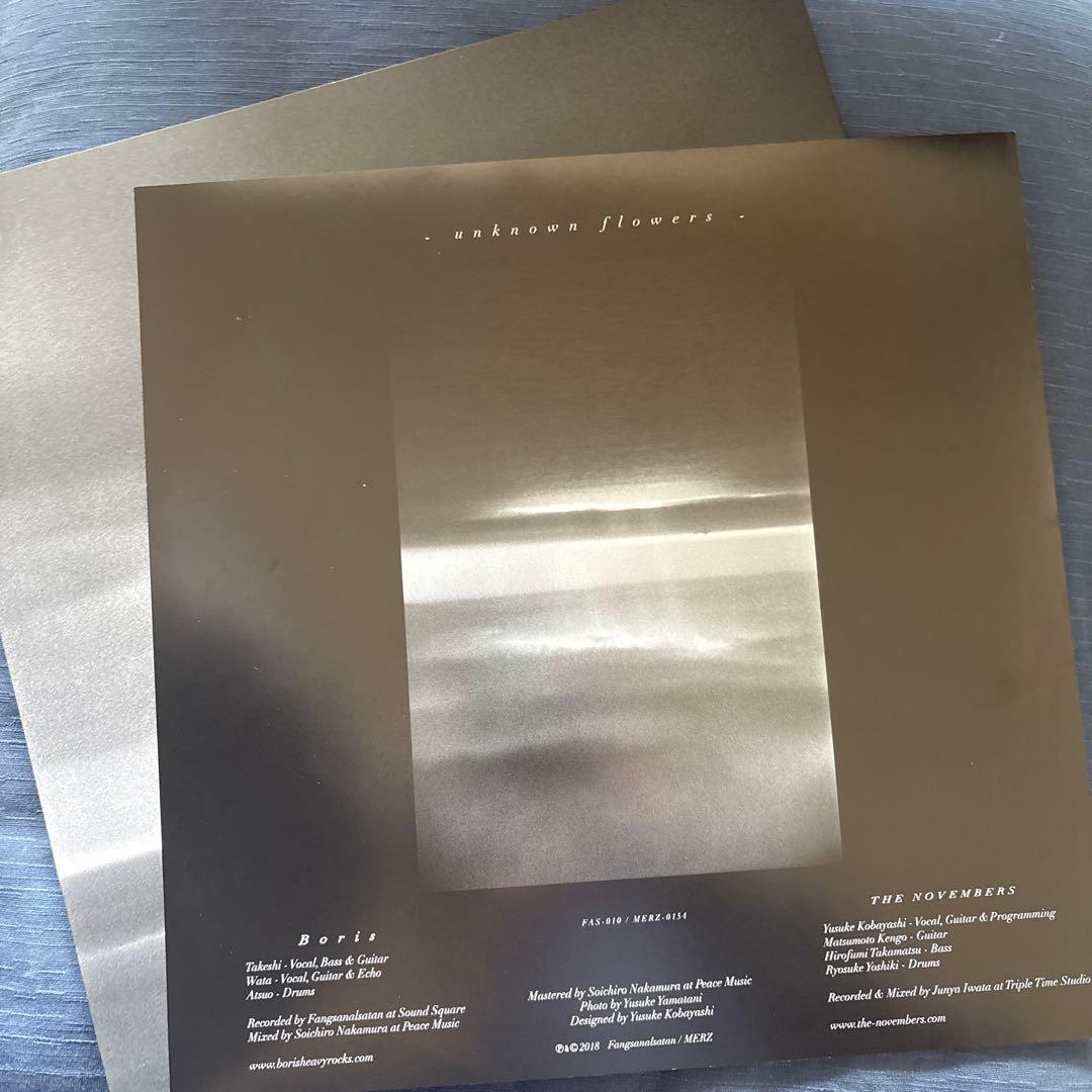THE NOVEMBERS unknown flowers レコード