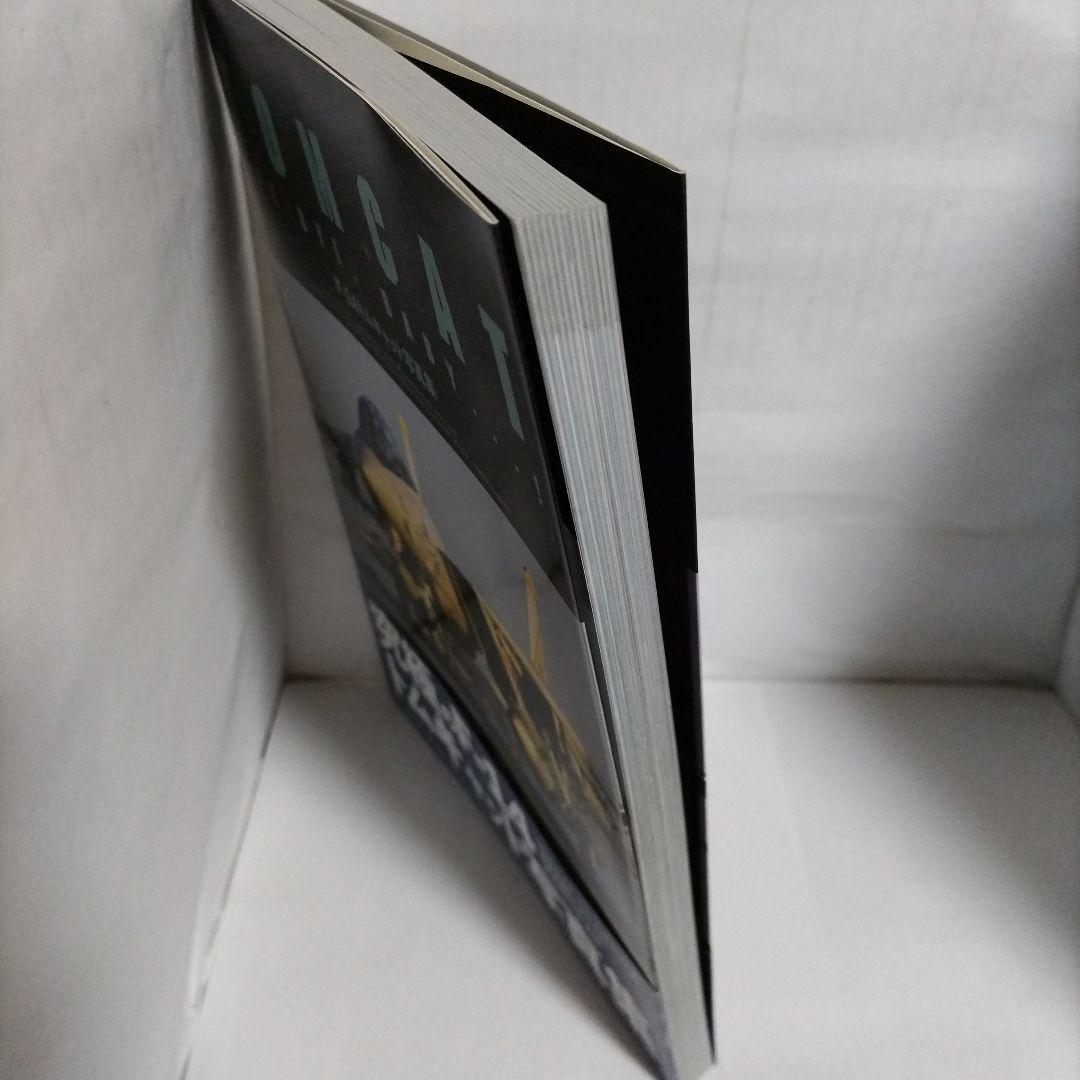 F-14 トムキャット写真集　−BYE・BYE, BABY…!−大日本絵画　初版