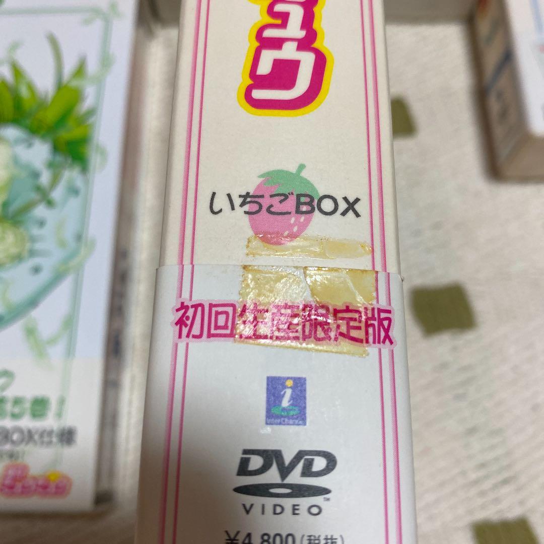 東京ミュウミュウ DVD 全BOXセット