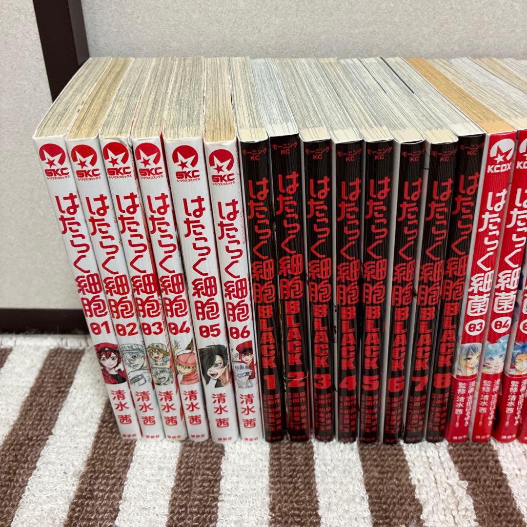 ★はたらく細胞★計38冊