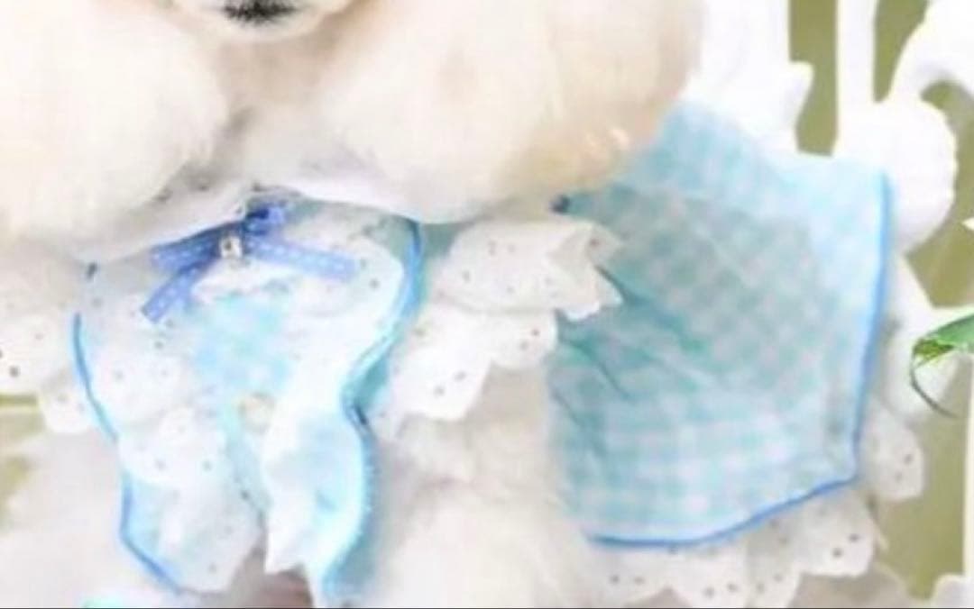 luxebirdieリュクスバーディ ビッシーワンピース犬服