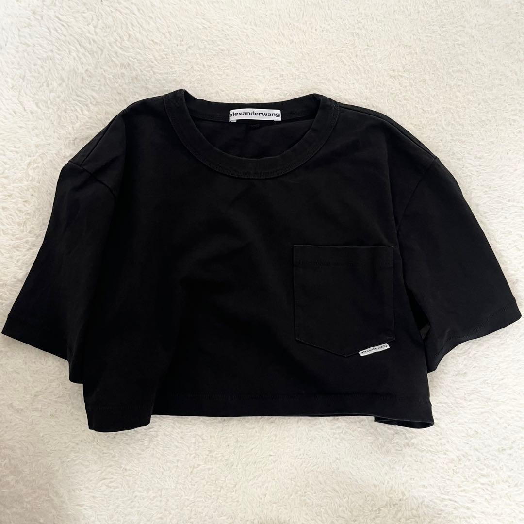 Alexandewang アレキサンダーワン　Tシャツ　クロップド丈 モード