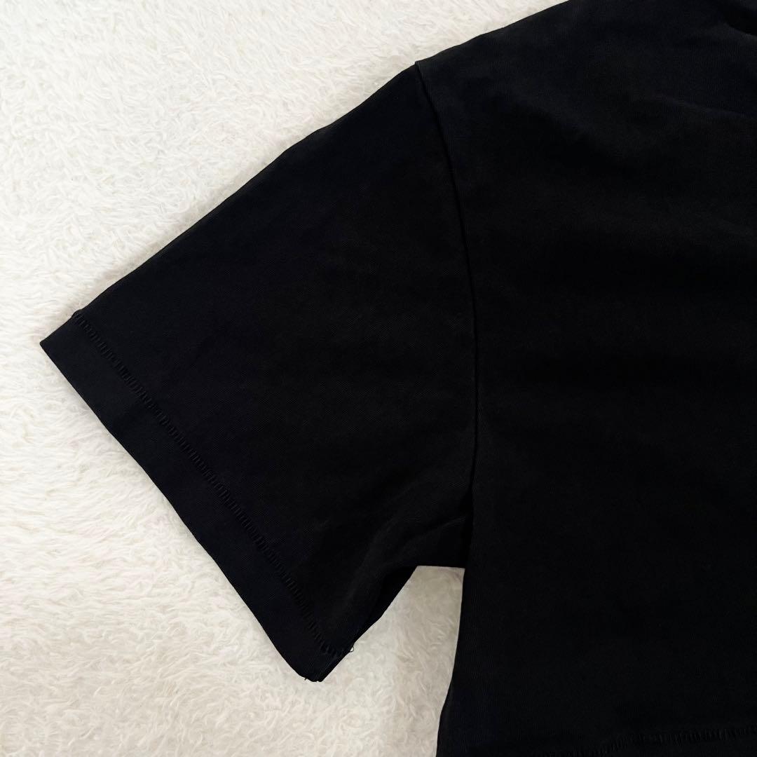 Alexandewang アレキサンダーワン　Tシャツ　クロップド丈 モード