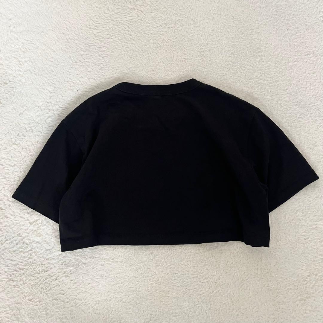 Alexandewang アレキサンダーワン　Tシャツ　クロップド丈 モード