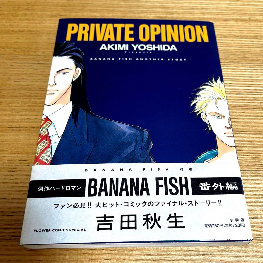 BANANA FISH 全19巻 PRIVATE OPINION(番外編)と画集