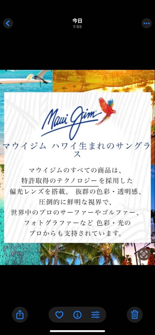 日差しで人生観変わりますMaui Jim カットフィルター　米皮膚がん財団推奨