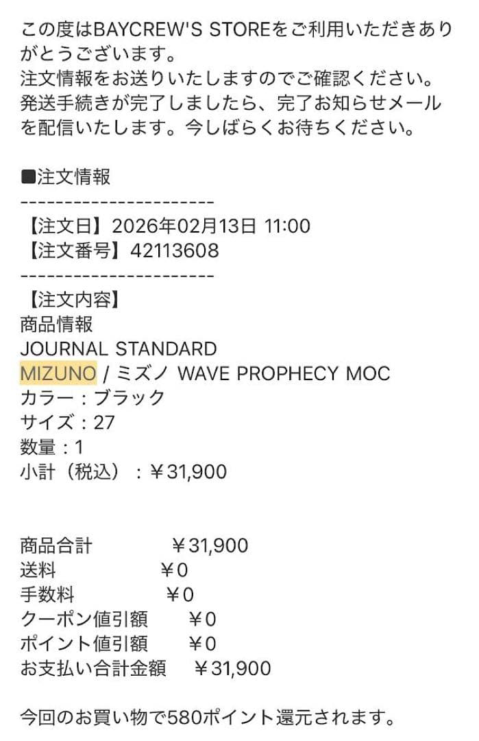 新品 wave prophecy moc MIZUNO スニーカーローファー 黒