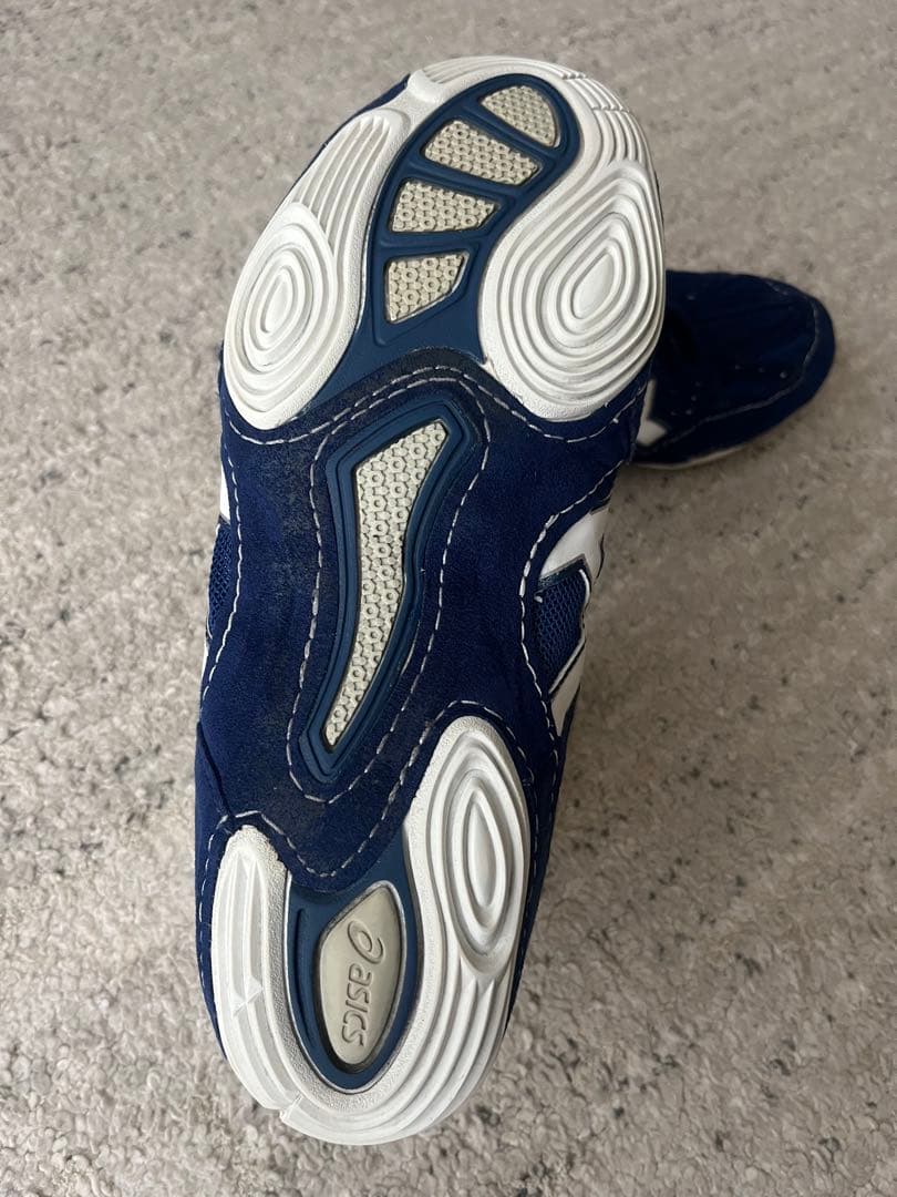 asics アシックス レスリングシューズ CAEL V6.0 TWR332