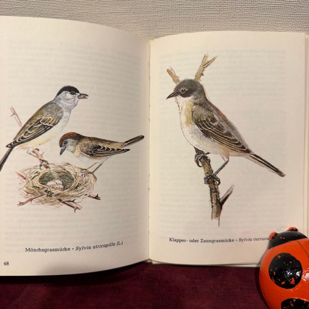 325B②ドイツ語鳥図鑑3冊セット　洋書古書　ジャンクジャーナル　ボタンニカル