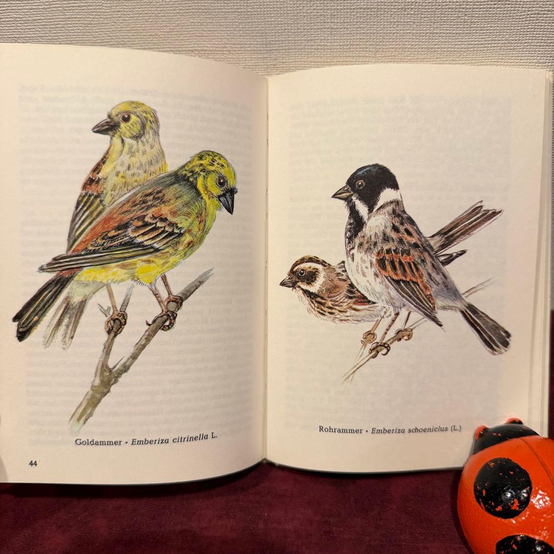 325B②ドイツ語鳥図鑑3冊セット　洋書古書　ジャンクジャーナル　ボタンニカル