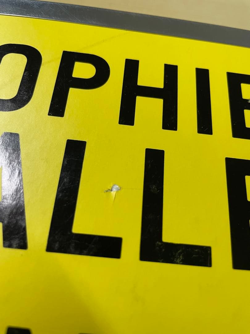 アート・デザイン・音楽 Sophie Calle And so Forth
