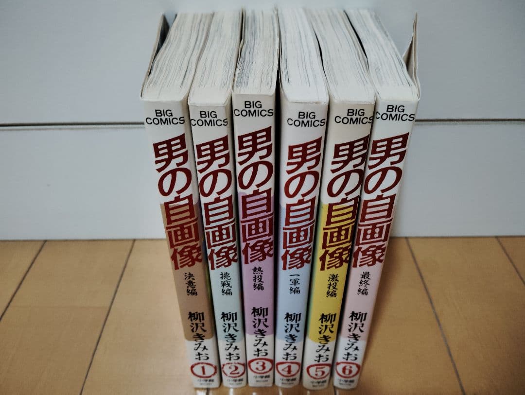 全巻セット33冊 おいしい水 青き炎 SEWING 男の自画像 他 柳沢きみお
