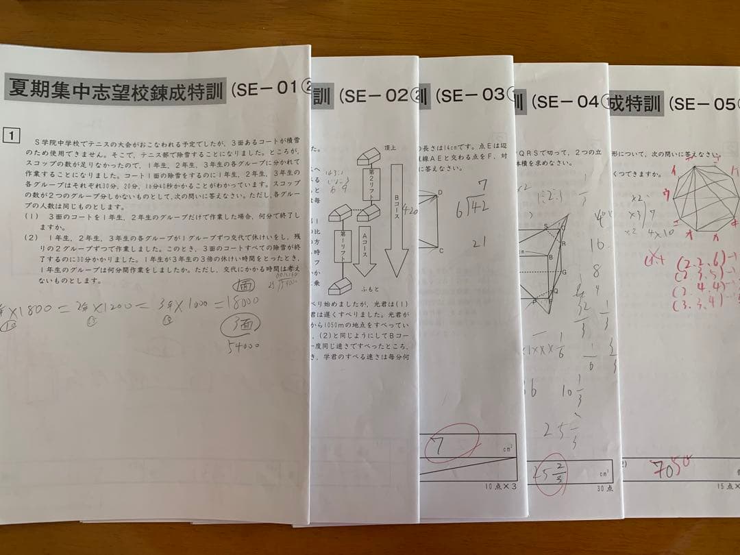 sapix ６年　夏期集中志望校錬成特訓　国語算数理社　全科目セット