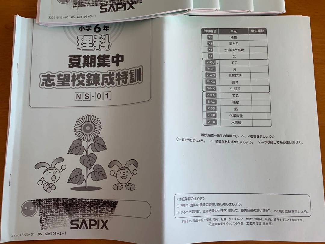 sapix ６年　夏期集中志望校錬成特訓　国語算数理社　全科目セット