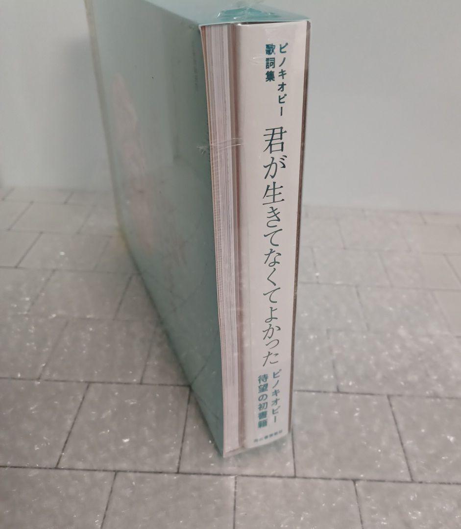 ピノキオピー 歌詞集＆画集ANNIVERSARY 数量限定スペシャルボックス版