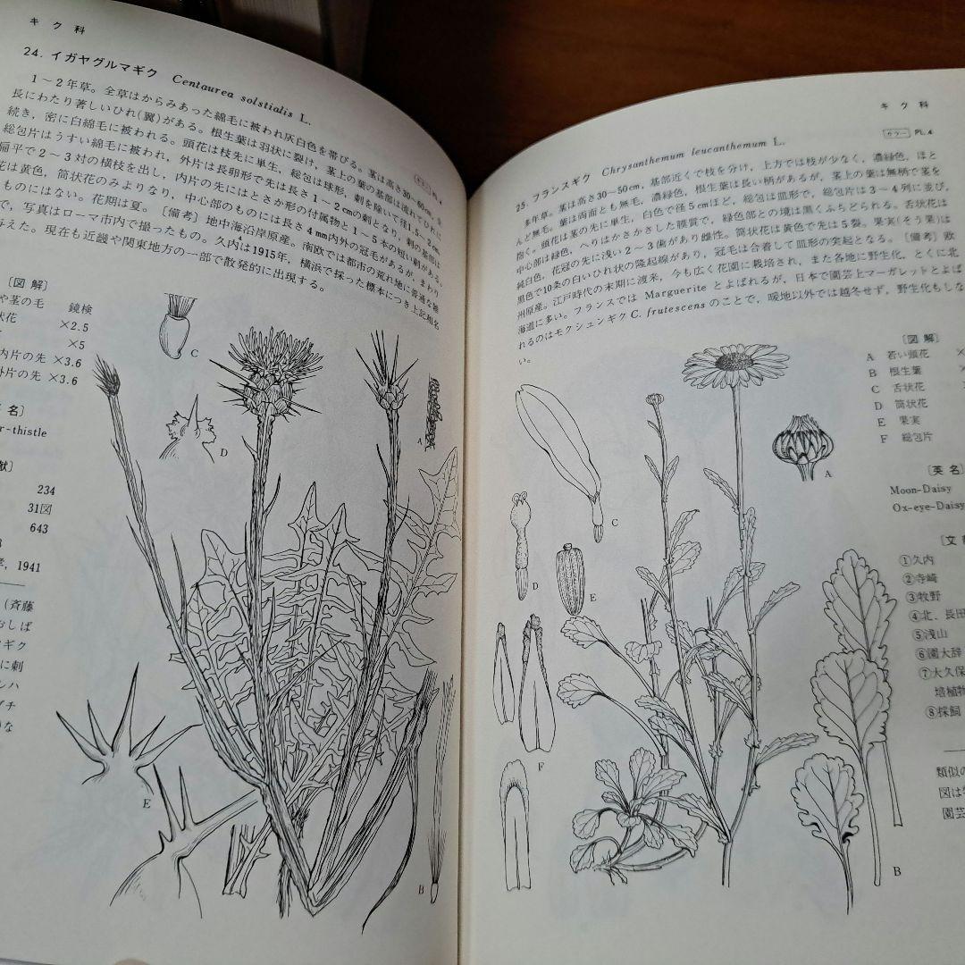 期間限定値下げ中！【絶版・希少】保育社 原色図鑑【植物】 5冊セット
