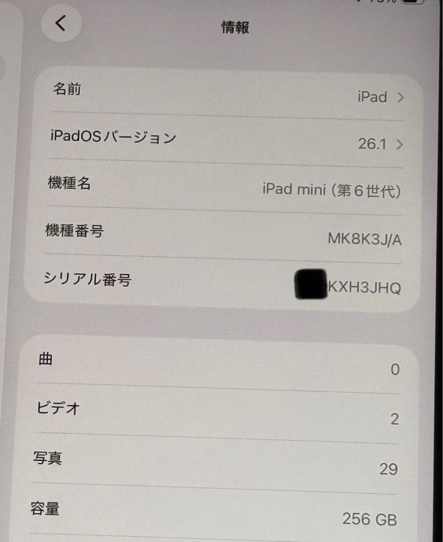 iPad mini 第6世代256GB Wi-Fi+Cellularモデル　美品