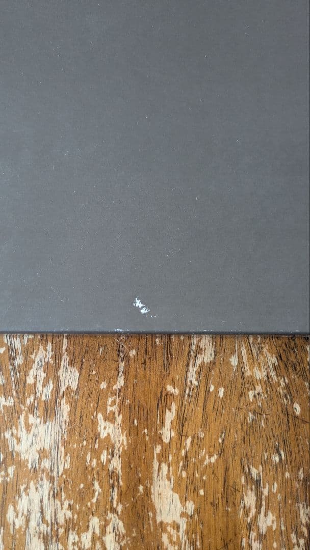 Shellac 1000 Hurts アナログレコード LP 輸入盤