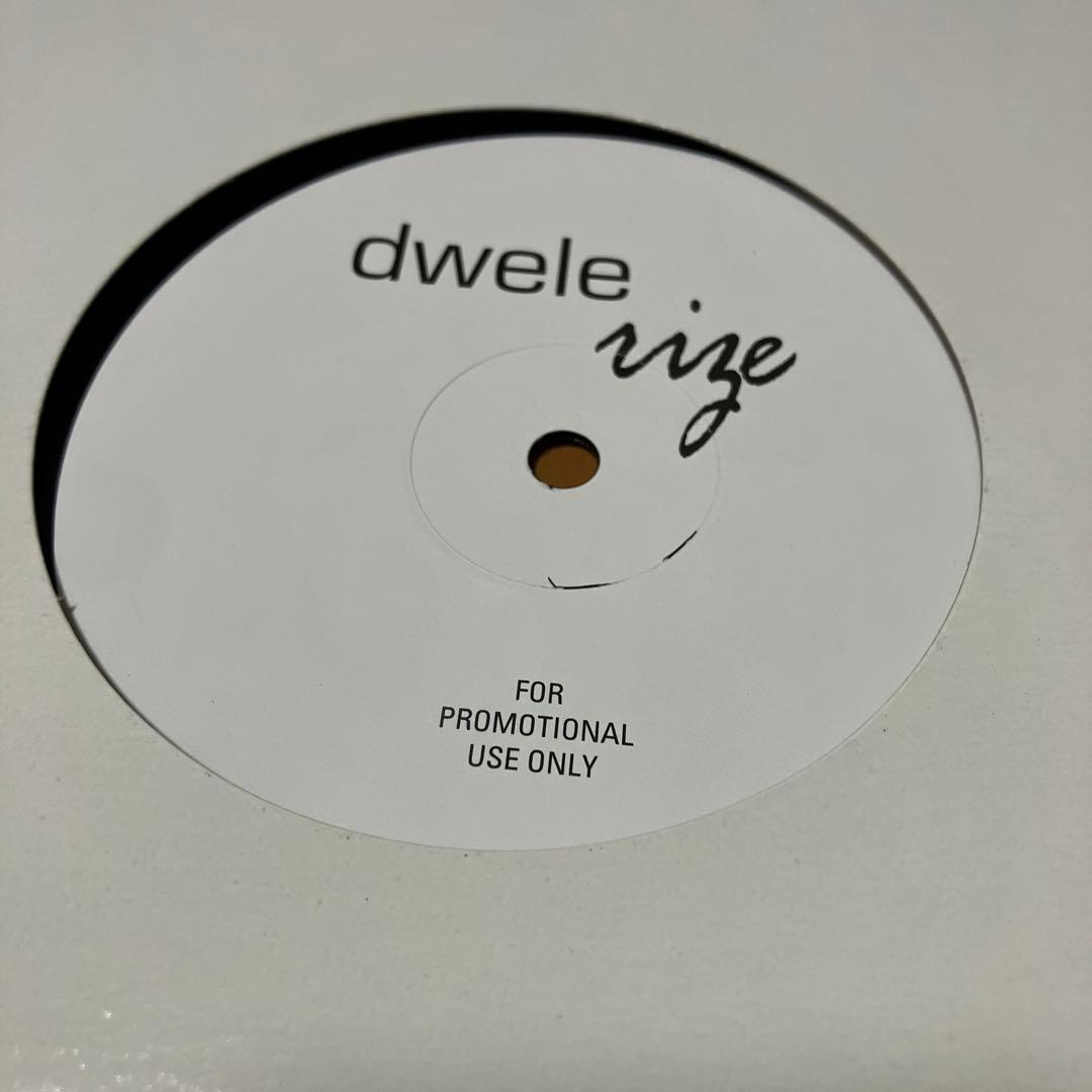 dwele rize j dilla d’angelo