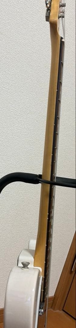 フジゲン FGN SNTL102-WB テレキャスター　Neo Classic